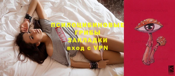 меф Заводоуковск