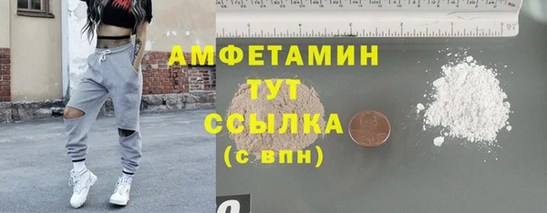 гашик Зеленокумск