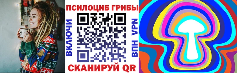 Купить Михайловск Псилоцибиновые грибы MAGIC MUSHROOMS